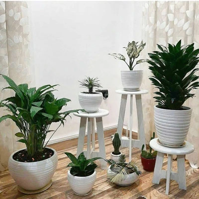 پایه گلدون