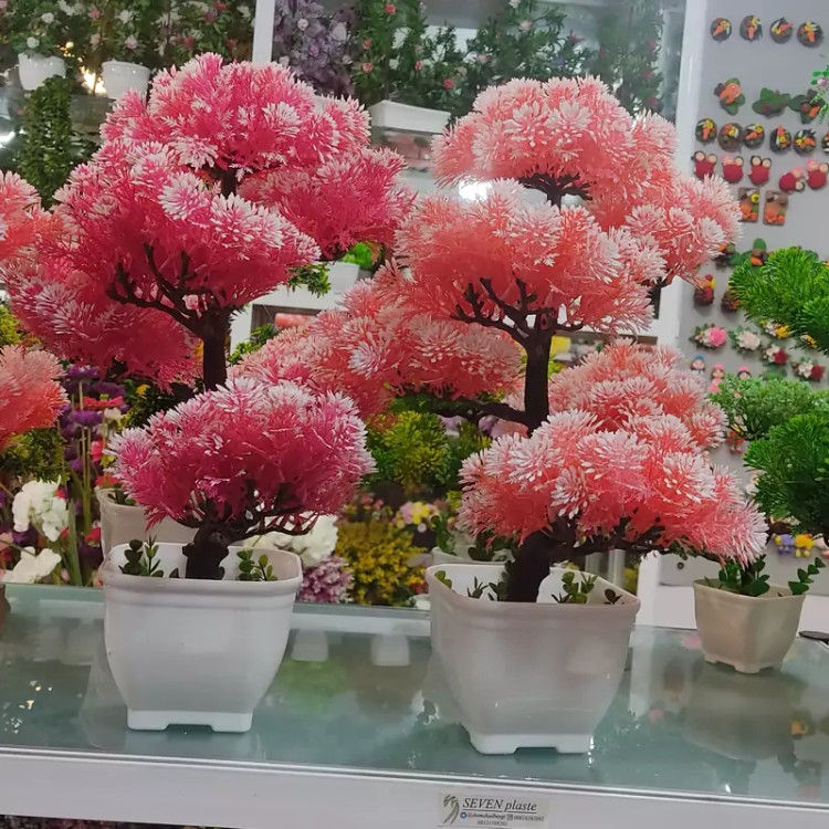 درختچه مصنوعی بنسای