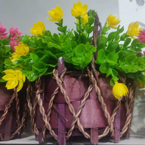 گل سبدی زرد