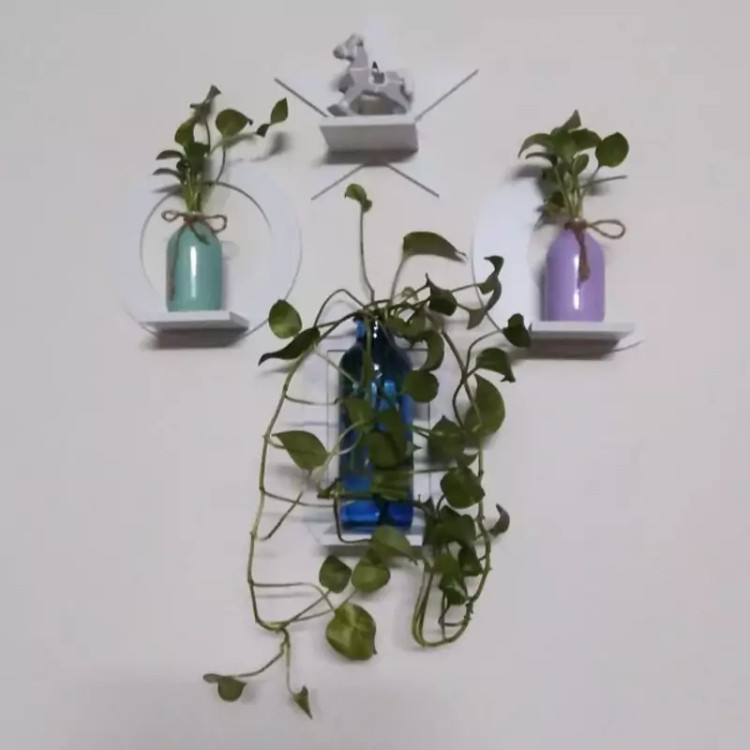 شلف ماه و ستاره