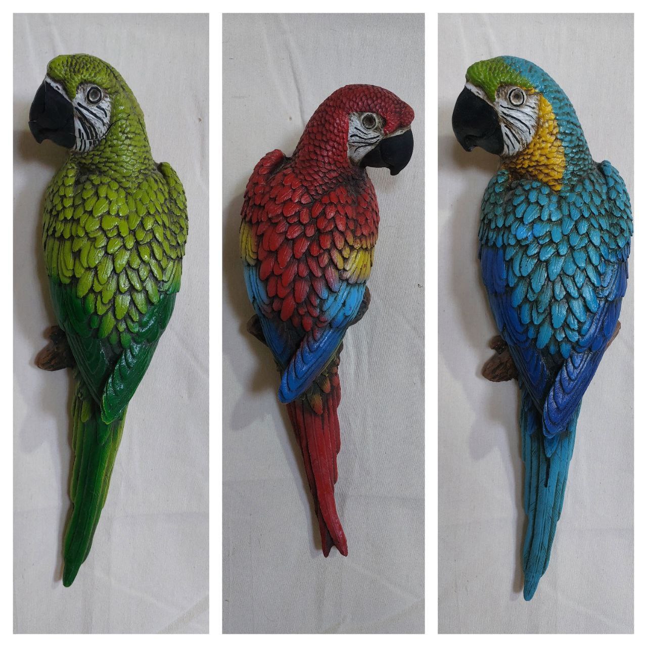 طوطی