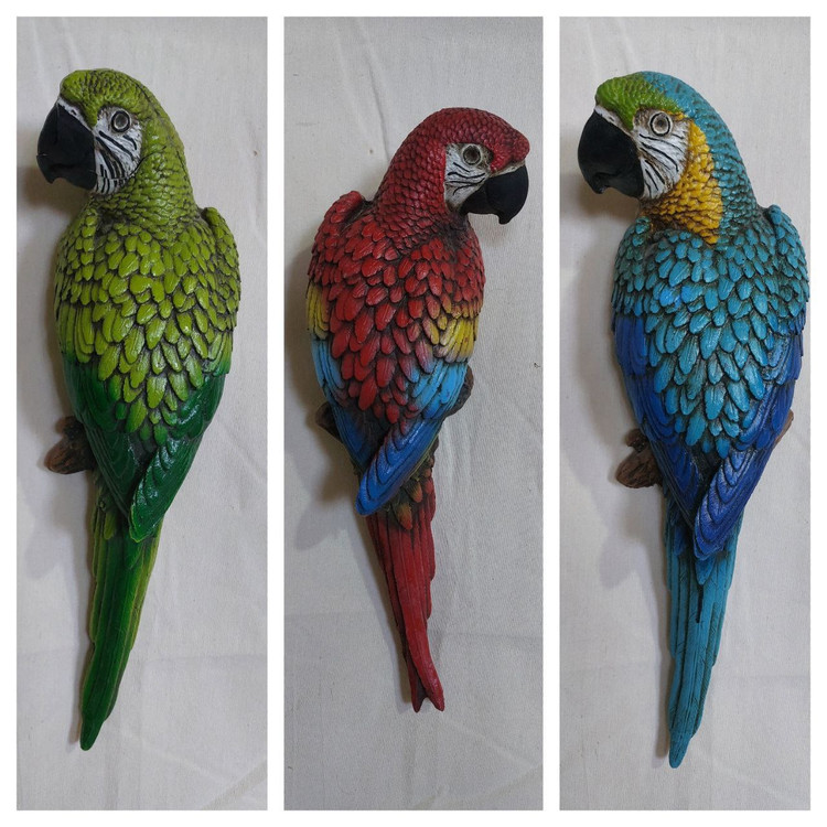 طوطی