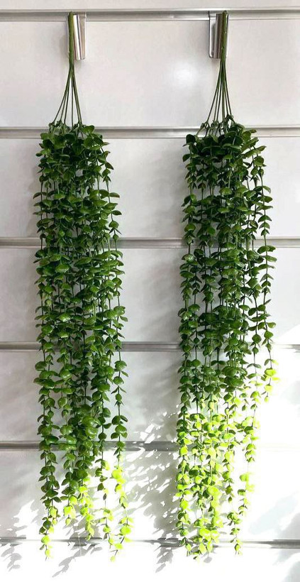 آویز شمشاد سبز