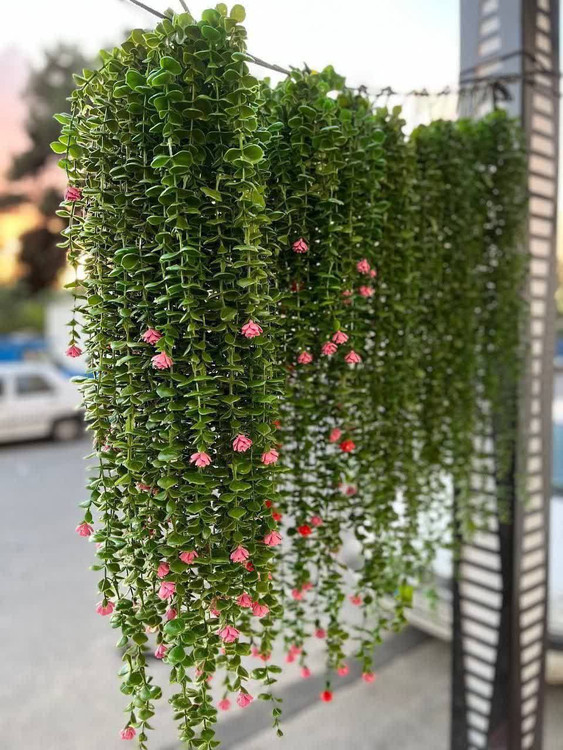 آویز شمشاد سبز گل دار